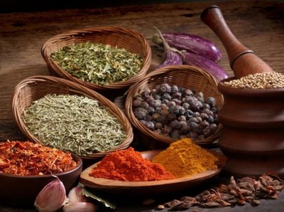 陶味园调味品 融贯中西，点亮餐饮新风味